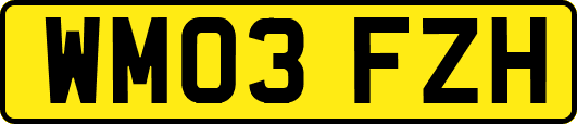 WM03FZH