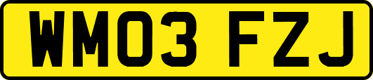 WM03FZJ