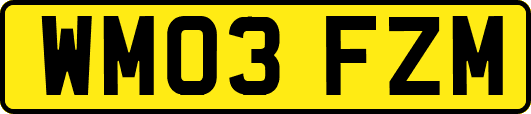 WM03FZM