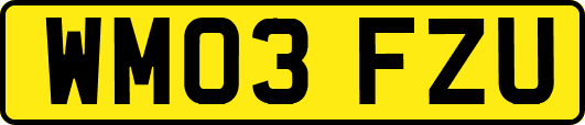 WM03FZU
