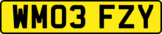 WM03FZY