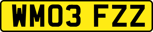 WM03FZZ