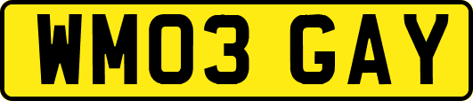 WM03GAY