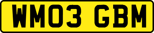 WM03GBM