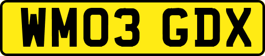 WM03GDX