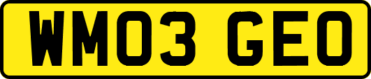 WM03GEO