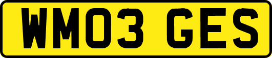 WM03GES