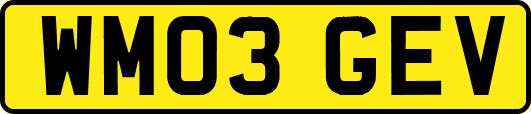 WM03GEV