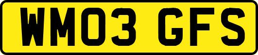 WM03GFS