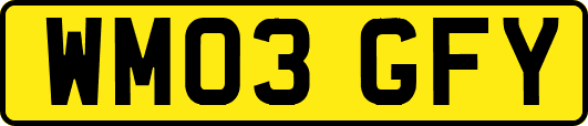 WM03GFY