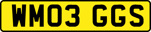 WM03GGS