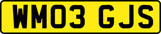 WM03GJS