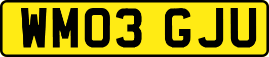 WM03GJU