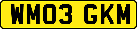WM03GKM