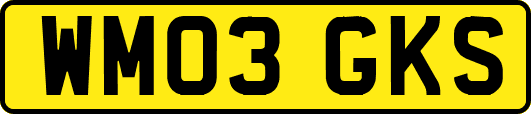 WM03GKS