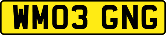 WM03GNG