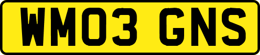 WM03GNS