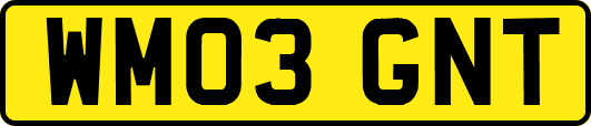 WM03GNT