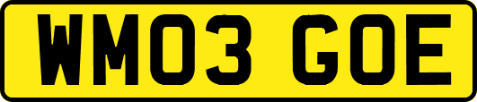 WM03GOE