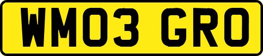 WM03GRO