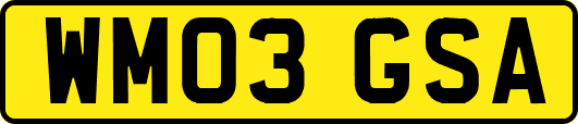 WM03GSA