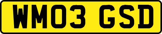 WM03GSD