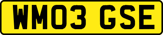 WM03GSE