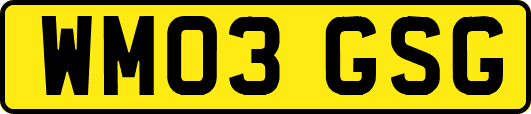 WM03GSG