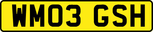 WM03GSH