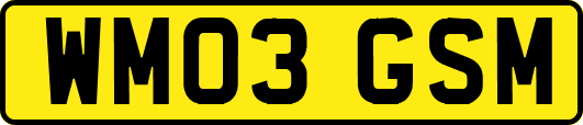 WM03GSM