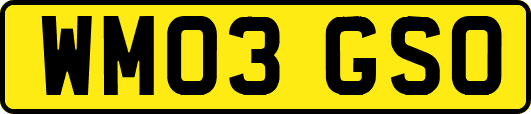 WM03GSO