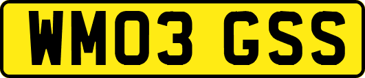 WM03GSS