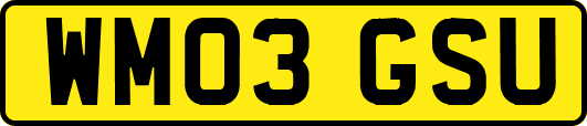WM03GSU