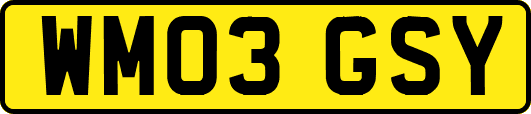 WM03GSY