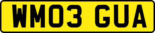 WM03GUA