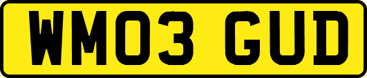 WM03GUD