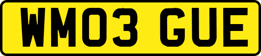 WM03GUE