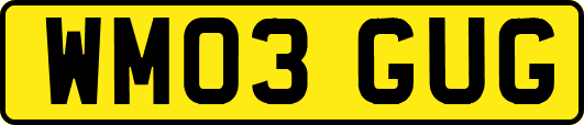 WM03GUG