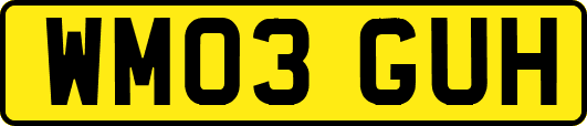 WM03GUH