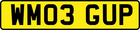 WM03GUP