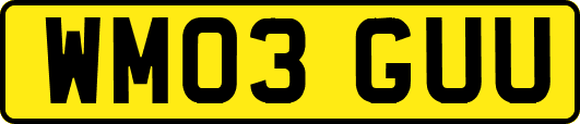 WM03GUU