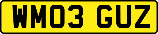 WM03GUZ