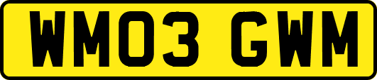 WM03GWM