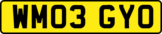 WM03GYO