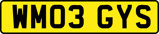 WM03GYS