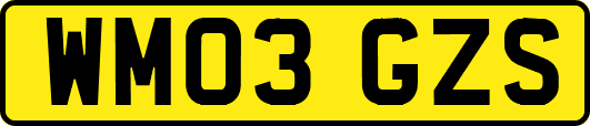 WM03GZS