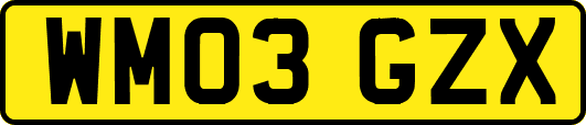 WM03GZX