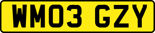 WM03GZY