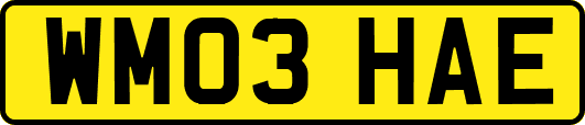 WM03HAE