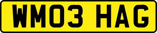 WM03HAG